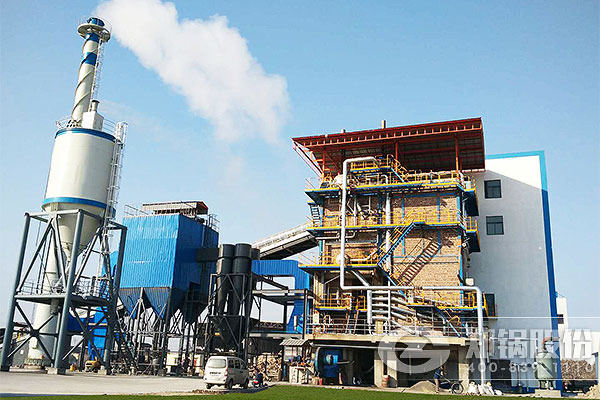 ����20t/h������ѭ����������¯��Ŀ